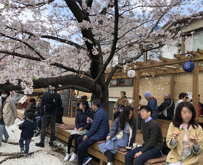 今年３月に、江東区深川地域の大横川沿いにオープンした川床「かわてらす」