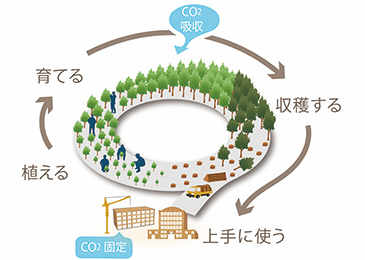 木材の積極的な利用