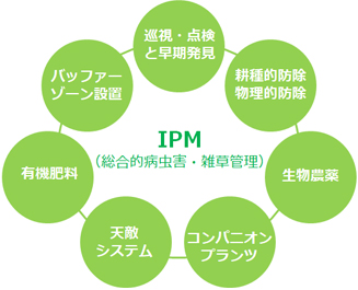 8.IPM