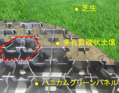 ハニカムグリーン模式図