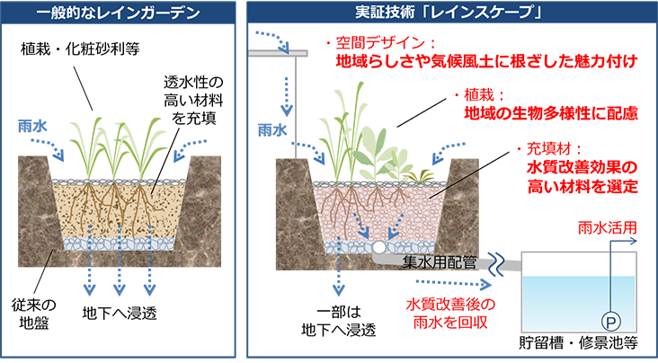 一般的なレインガーデンと比較した「レインスケープ」の特長