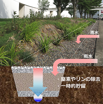 「レインスケープ」の実証