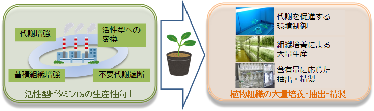 開発技術の実施概要