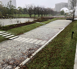 【豪雨時10時頃】全面に雨が溜まり始める