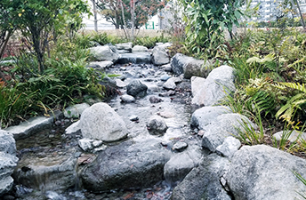 水浴びし易い水深の小川