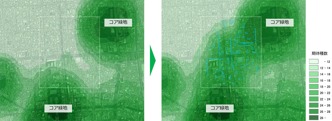 特定エリアの緑地化前後における鳥類生息ポテンシャル評価