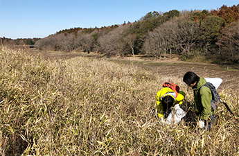 近隣の在来草原における植生調査