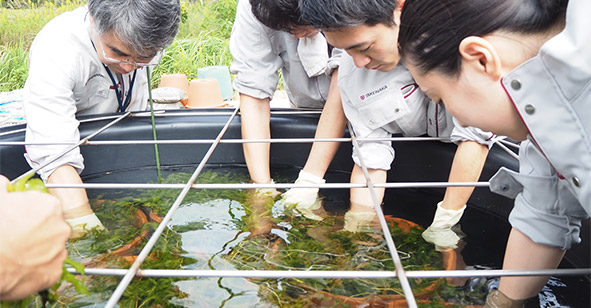 水草の生息域外保全技術