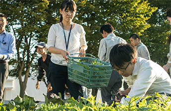 収穫作業で発生する他分野の研究員同士のコミュニケーション