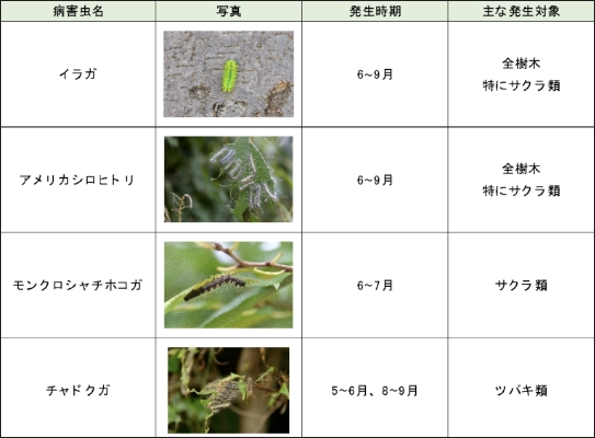 発生が予想される病虫害のリスト（抜粋）