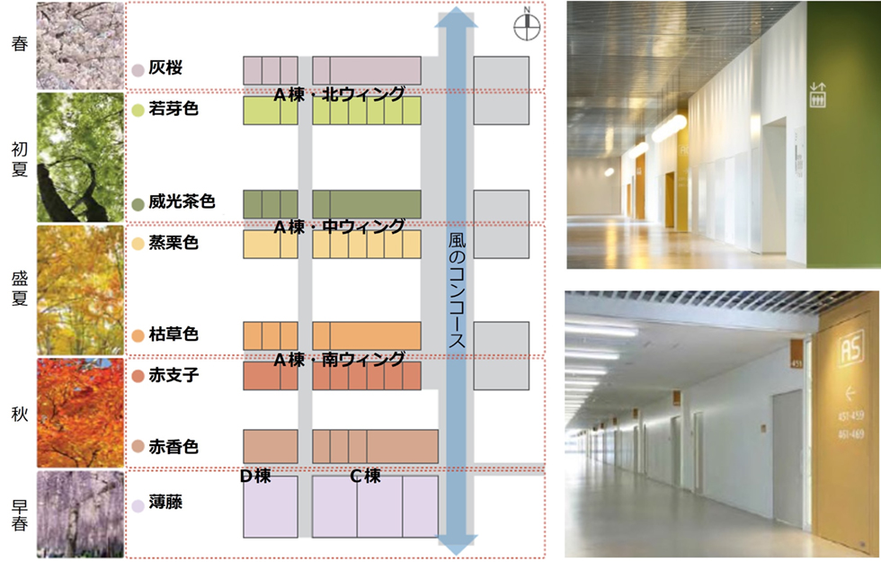 色彩によるわかりやすい空間構成