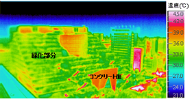 アクロス福岡におけるヒートアイランド緩和効果