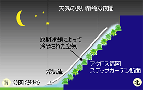 アクロス福岡におけるヒートアイランド緩和効果