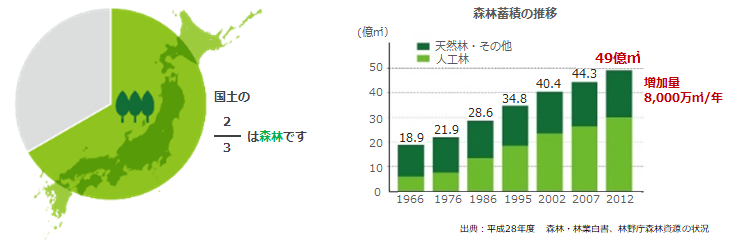 日本の森林資源の活用について | 竹中工務店