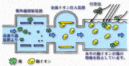 殺藻システムイメージ図