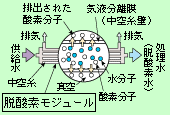 膜脱気の原理