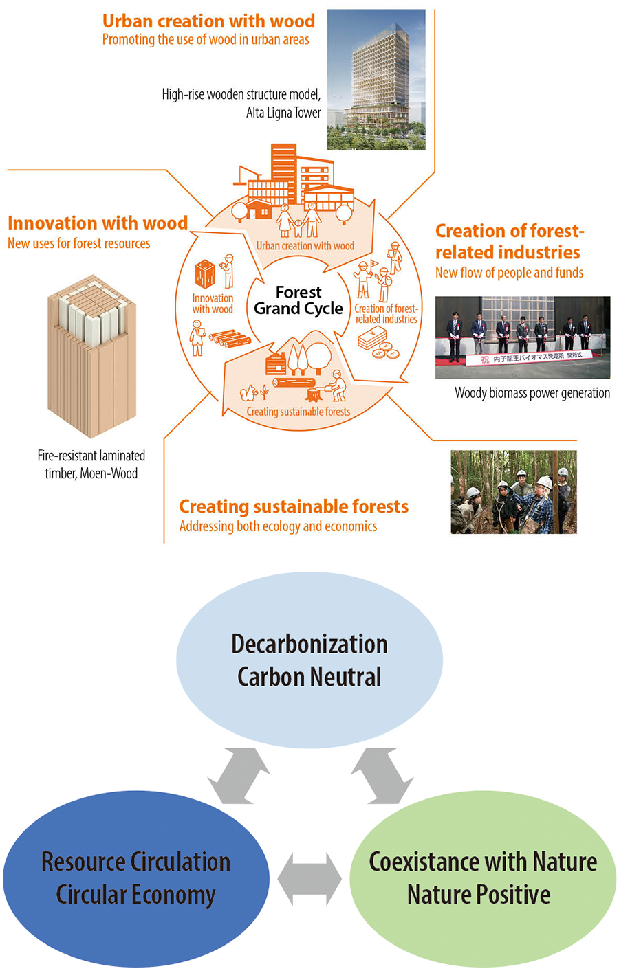 Harmonization with the environment