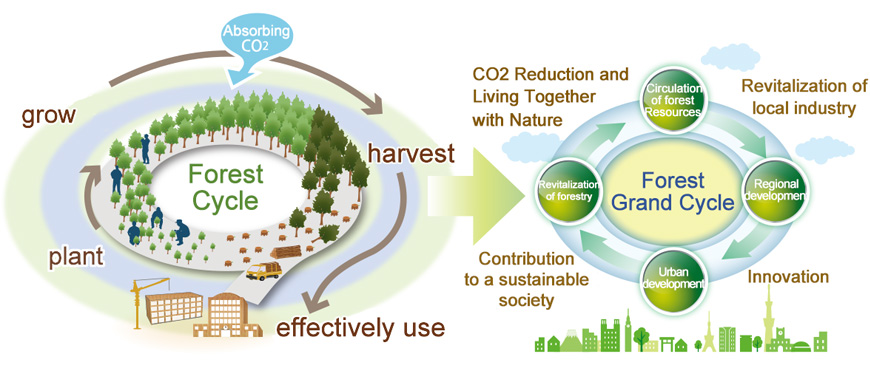 The “Forest Grand Cycle” links utilization of forest resources and the economic development of society in a continuous cycle, beyond the simple plant-grow-harvest-use model.