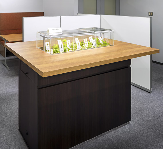 “VEGE-TABLE” Supports Corporate Health Management